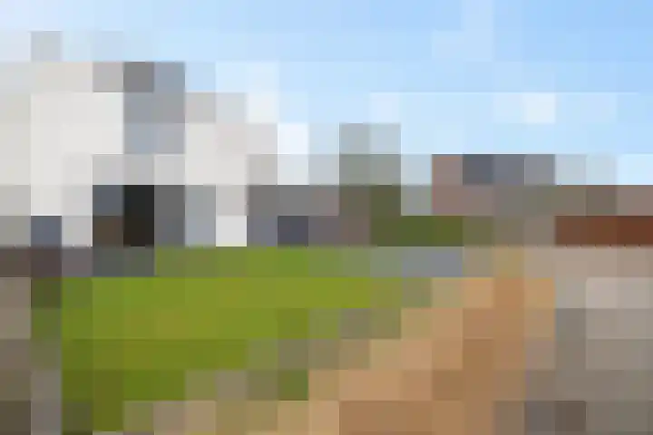 De Foarplecht 2 Hallum thumbnail 36