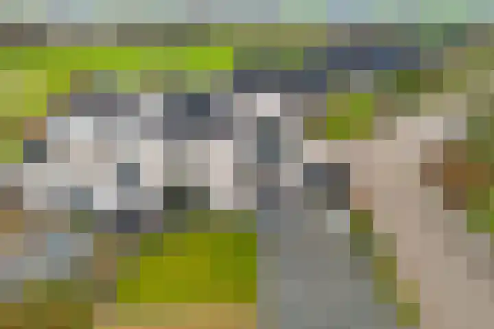 De Foarplecht 2 Hallum thumbnail 39