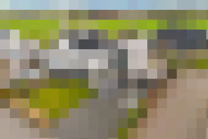 De Foarplecht 2 Hallum thumbnail 40