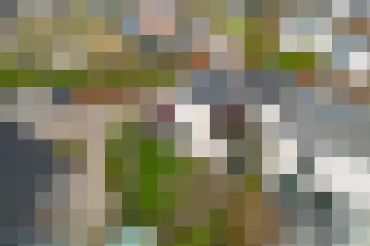 De Foarplecht 2 Hallum thumbnail 41