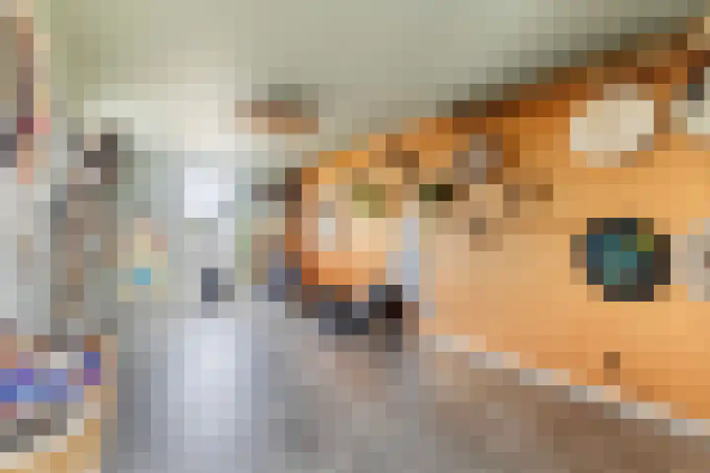De Foarplecht 8 Hallum thumbnail 12
