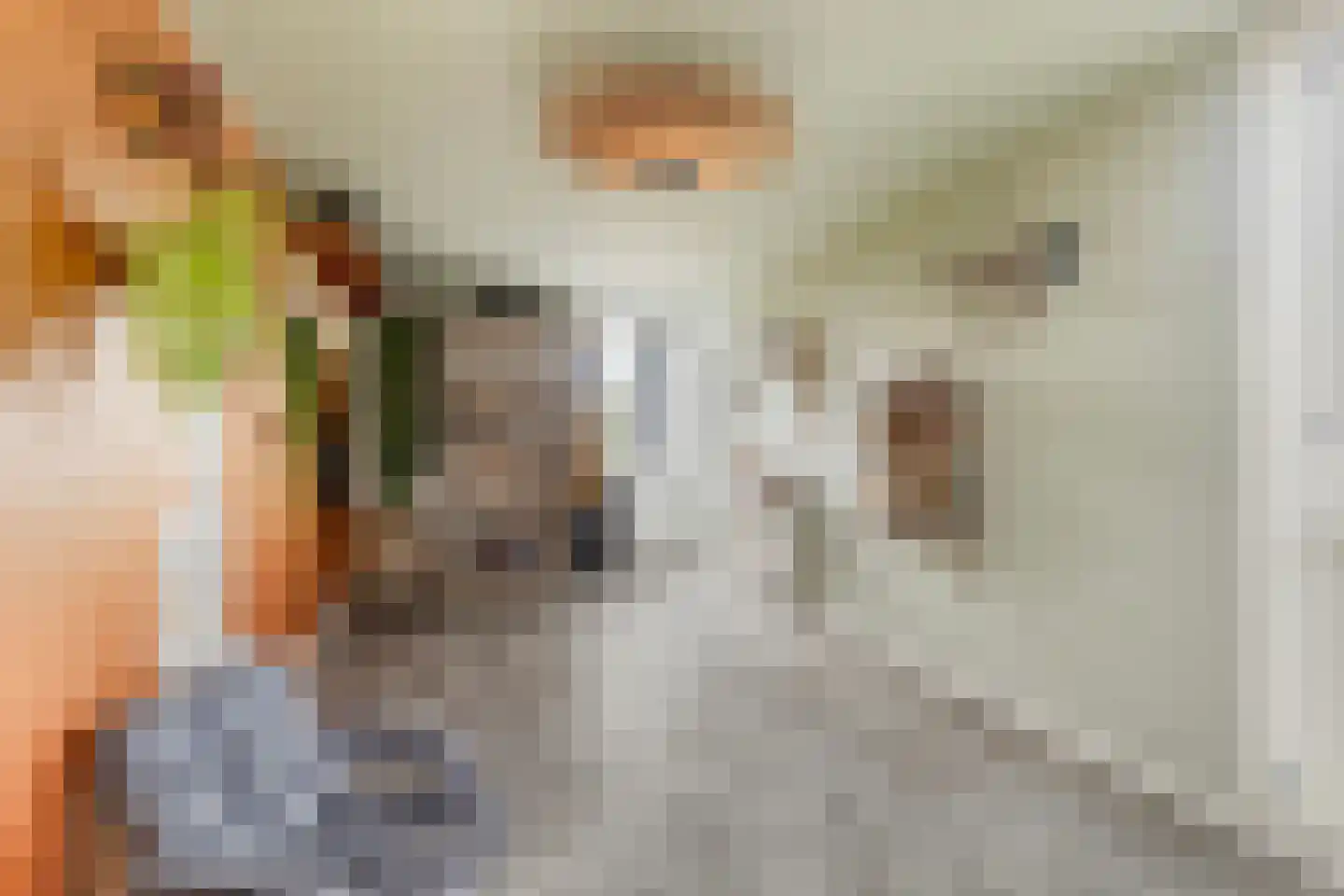 De Foarplecht 8 Hallum thumbnail 13