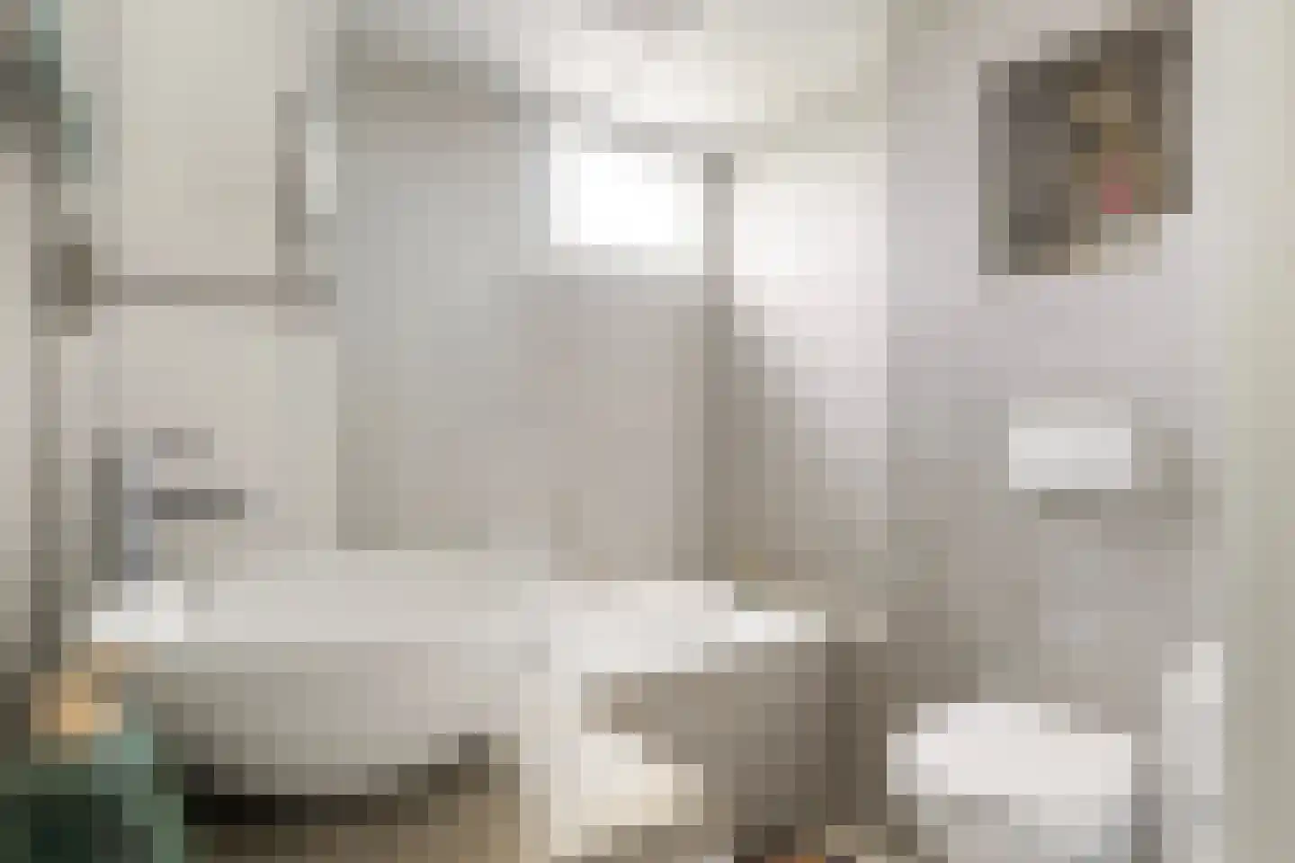 De Foarplecht 8 Hallum thumbnail 15