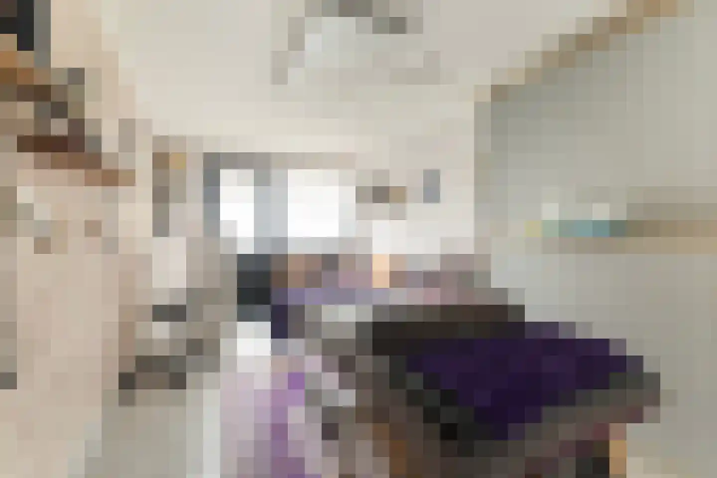 De Foarplecht 8 Hallum thumbnail 16