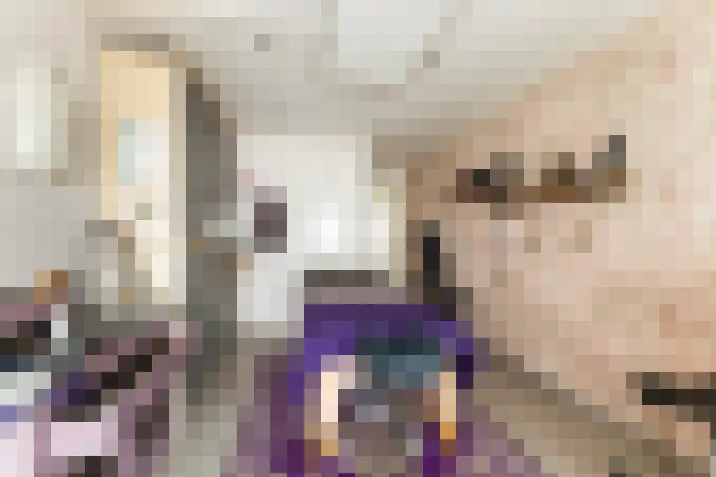 De Foarplecht 8 Hallum thumbnail 17