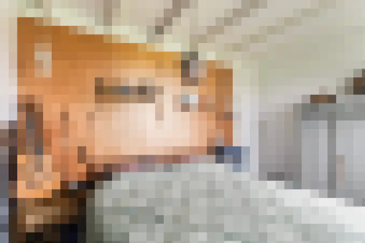 De Foarplecht 8 Hallum thumbnail 20
