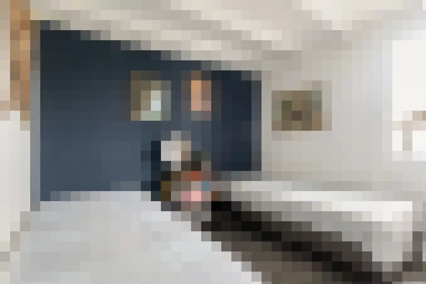 De Foarplecht 8 Hallum thumbnail 22
