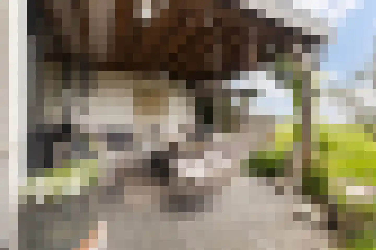De Foarplecht 8 Hallum thumbnail 26
