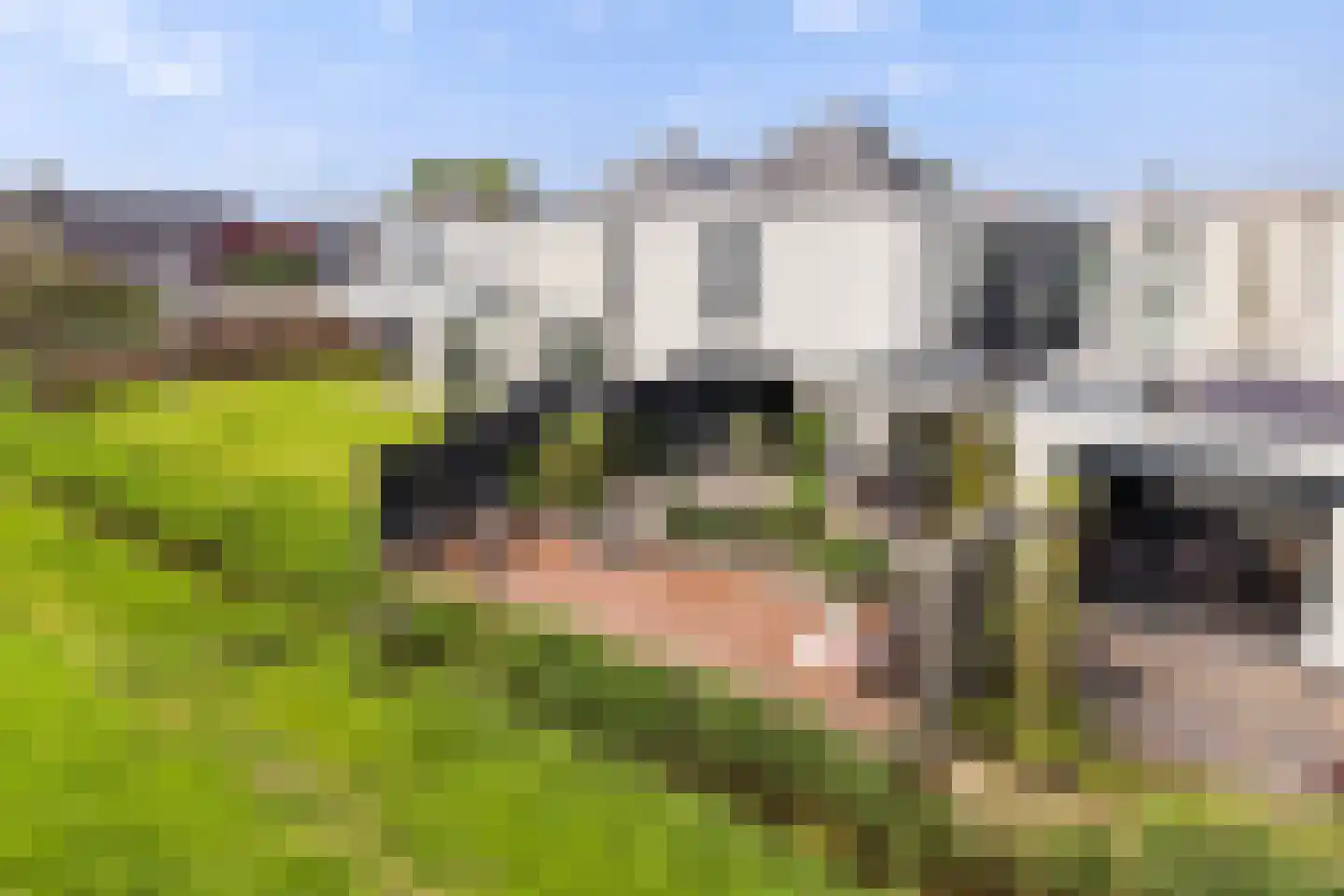 De Foarplecht 8 Hallum thumbnail 31