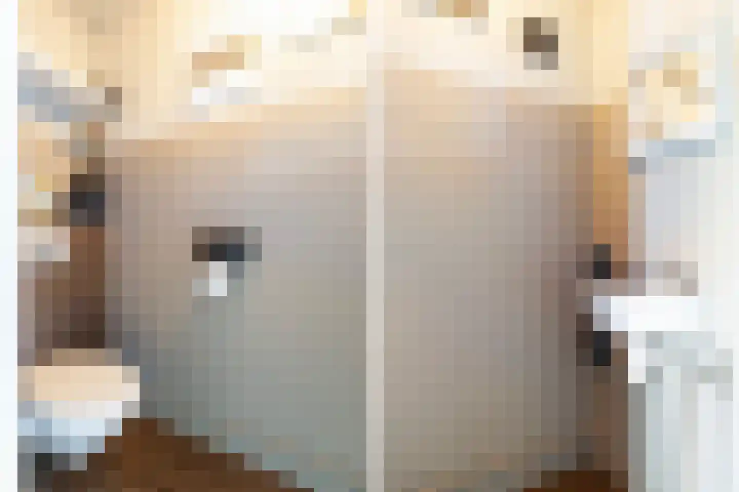 De Foarplecht 8 Hallum thumbnail 6