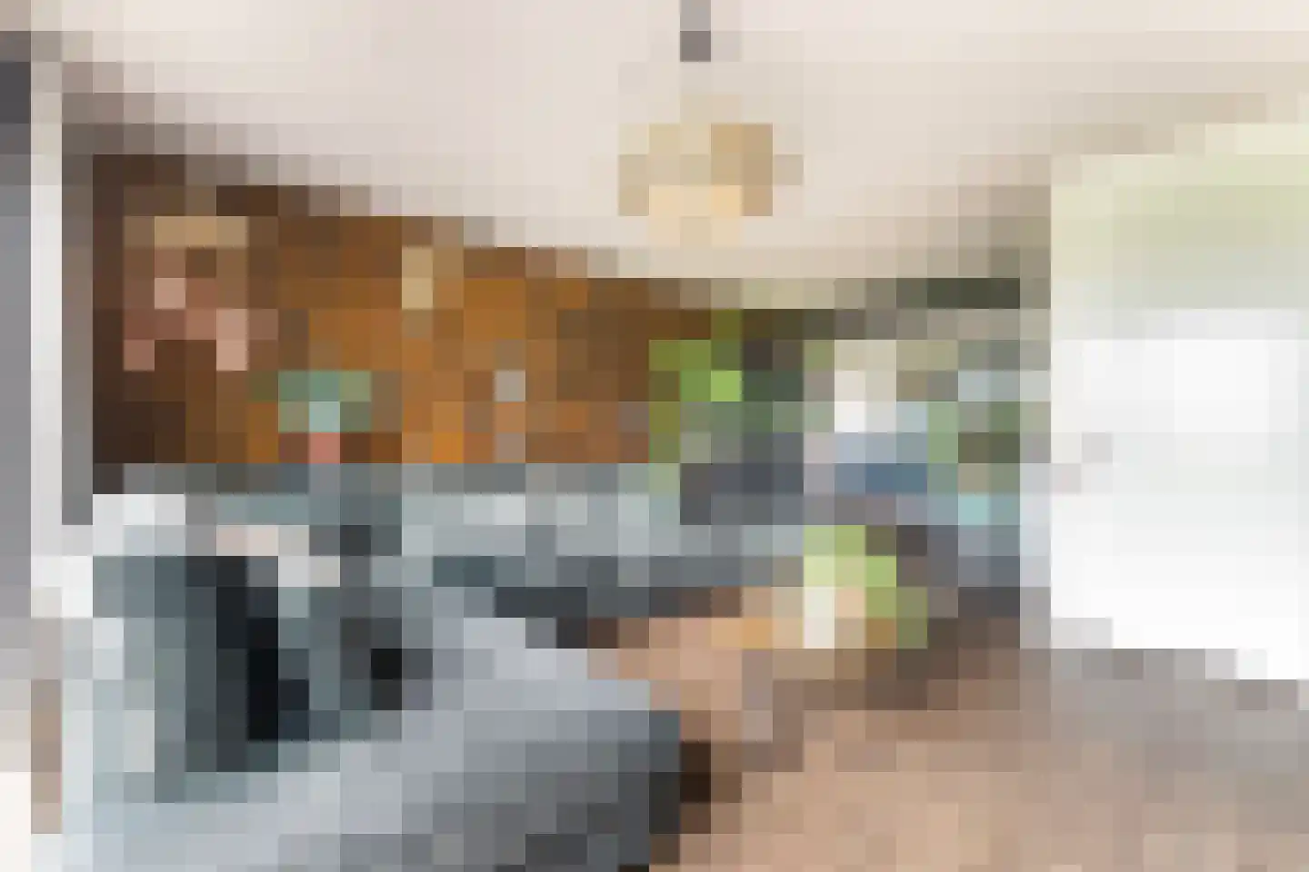 De Foarplecht 8 Hallum thumbnail 7