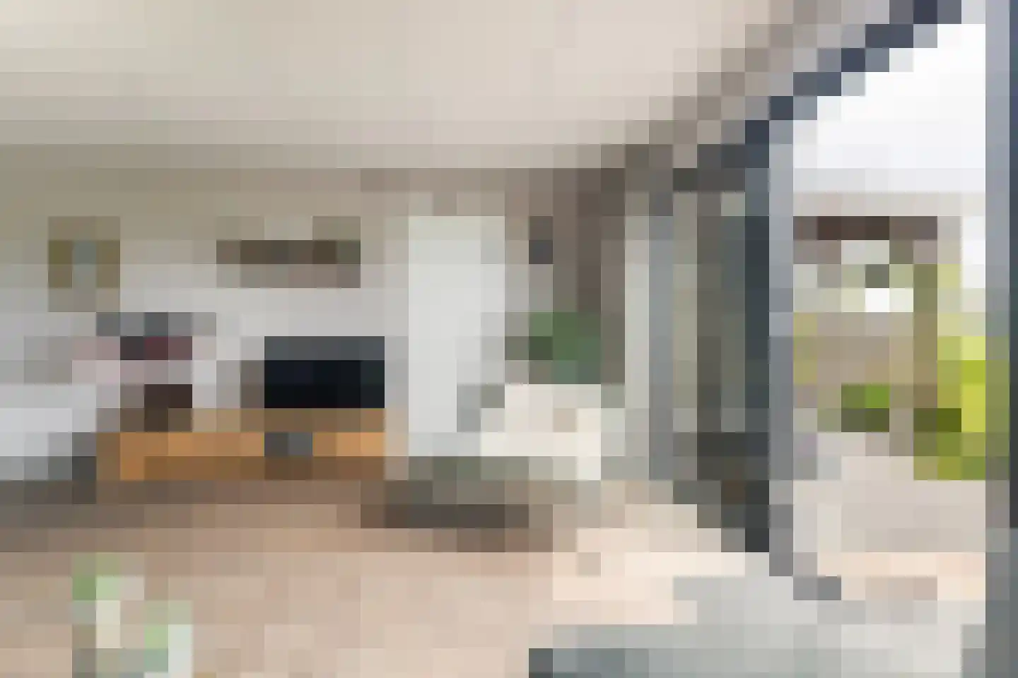 De Foarplecht 8 Hallum thumbnail 8