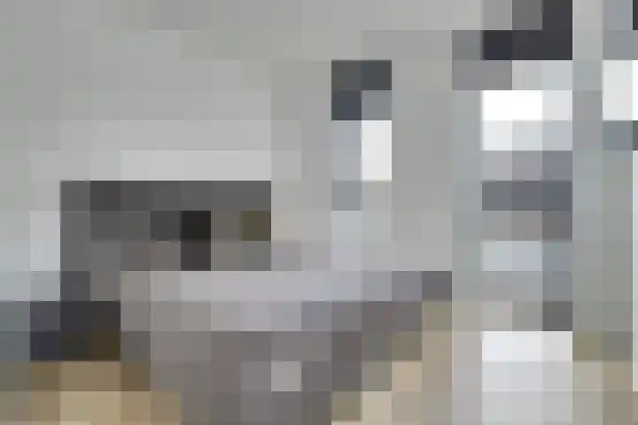 De Foeke 10 Zeewolde thumbnail 18