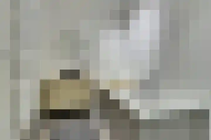 De Foeke 10 Zeewolde thumbnail 22