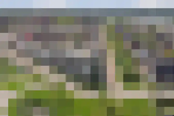 De Foeke 10 Zeewolde thumbnail 34