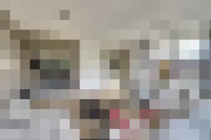 De Foeke 10 Zeewolde thumbnail 4