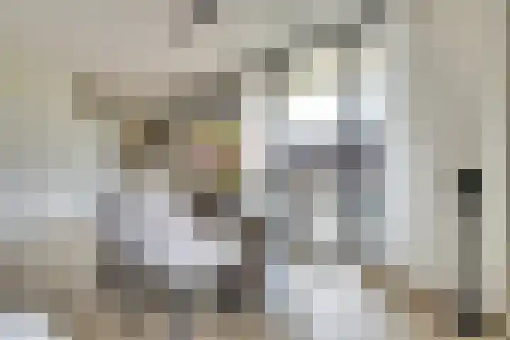 De Foeke 10 Zeewolde thumbnail 5