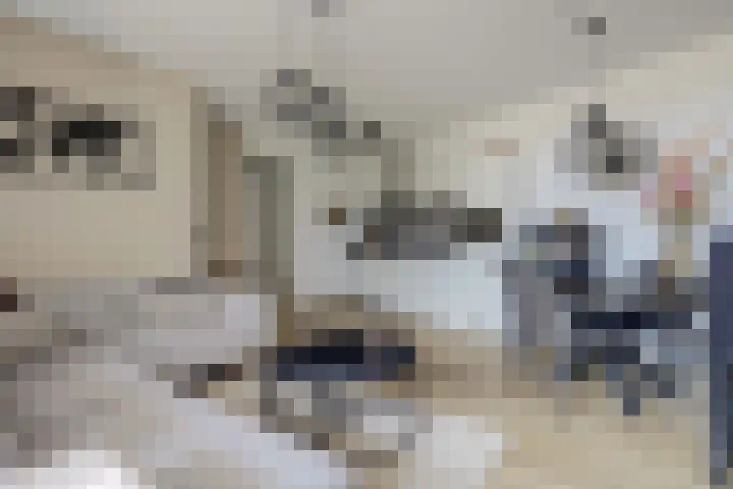 De Foeke 12 Zeewolde thumbnail 10