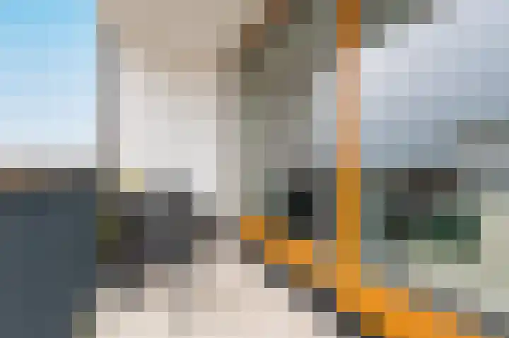 De Foeke 18 Zeewolde thumbnail 20