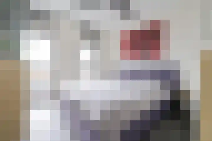 De Foeke 18 Zeewolde thumbnail 26
