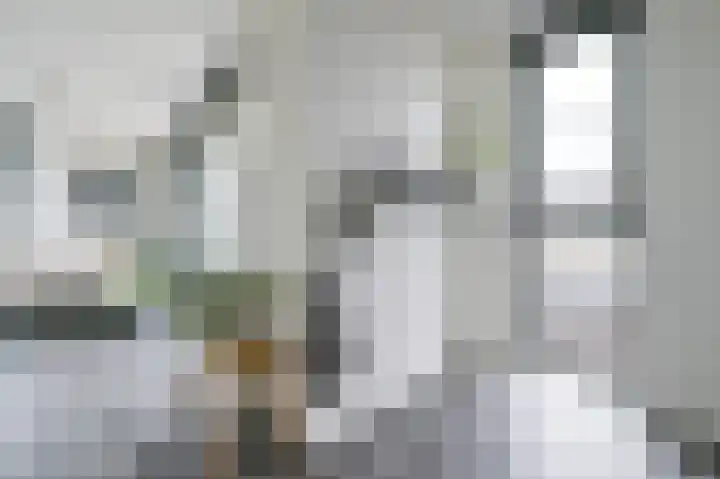 De Foeke 18 Zeewolde thumbnail 7