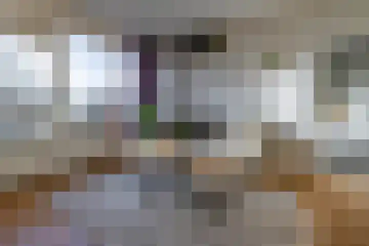 De Fok 18 Groningen thumbnail 10