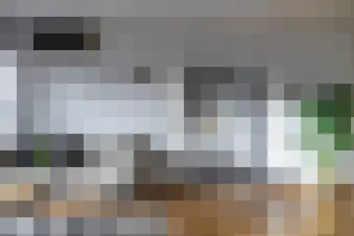 De Fok 18 Groningen thumbnail 11