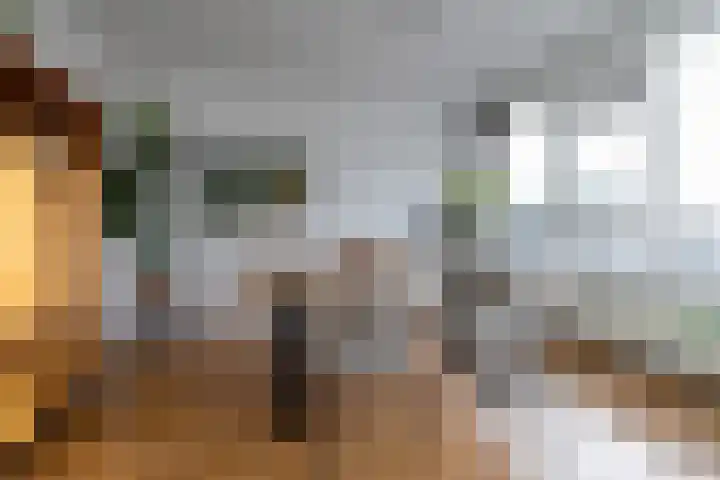 De Fok 18 Groningen thumbnail 14