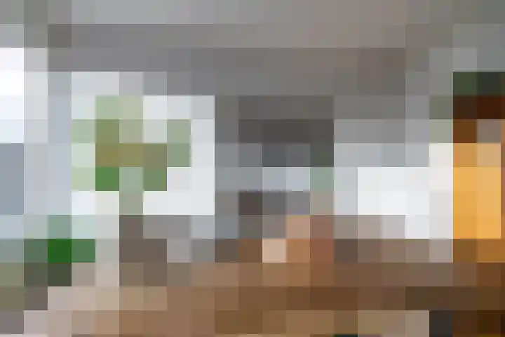 De Fok 18 Groningen thumbnail 15