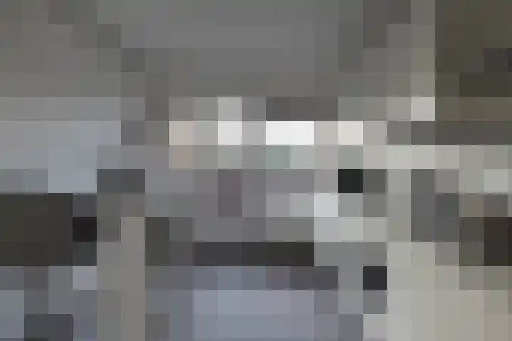 De Fok 18 Groningen thumbnail 16
