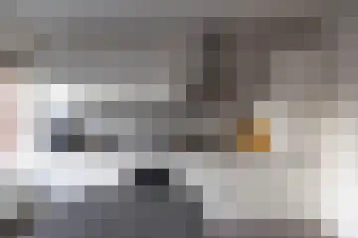 De Fok 18 Groningen thumbnail 17