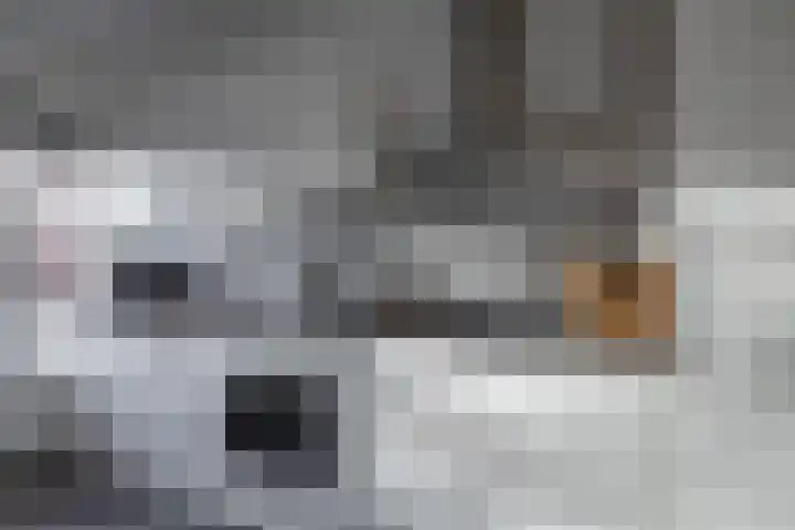 De Fok 18 Groningen thumbnail 18