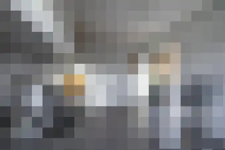 De Fok 18 Groningen thumbnail 19