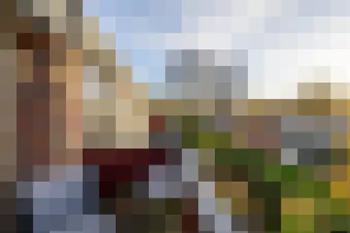 De Fok 18 Groningen thumbnail 23