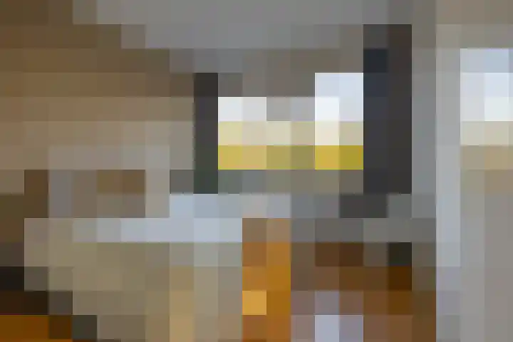 De Fok 18 Groningen thumbnail 27