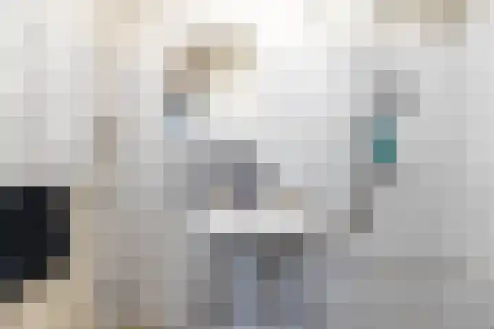 De Fok 18 Groningen thumbnail 31