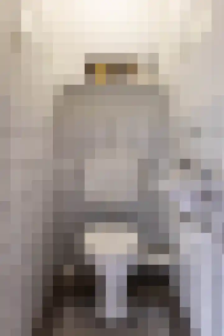 De Fok 18 Groningen thumbnail 32