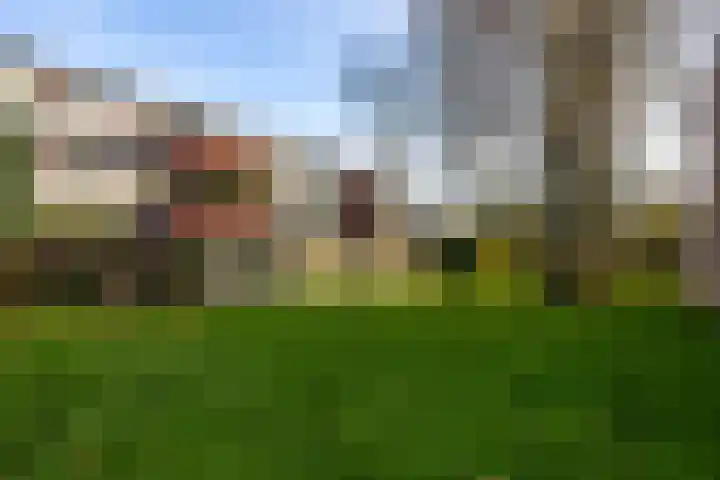De Fok 18 Groningen thumbnail 34