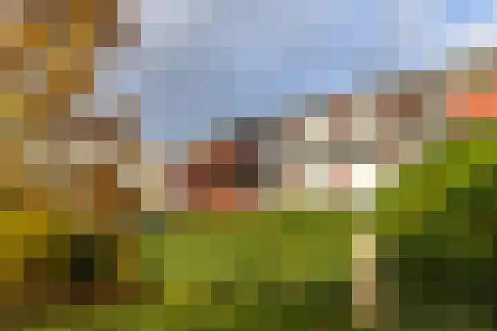 De Fok 18 Groningen thumbnail 35