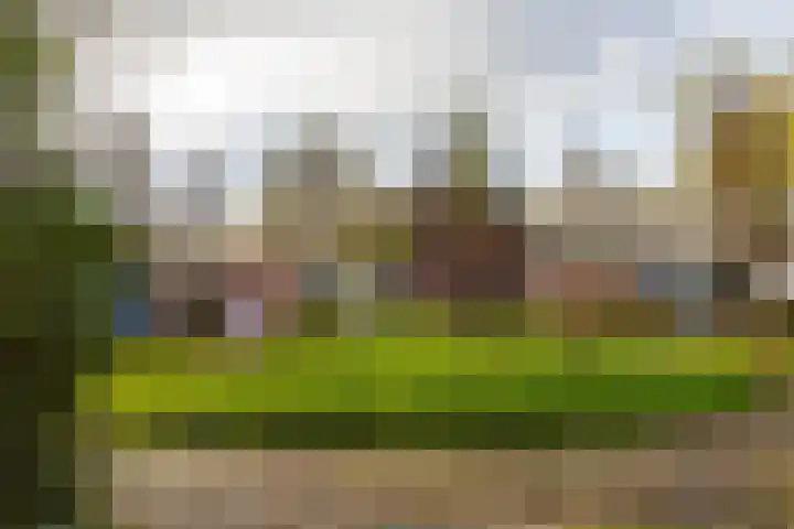 De Fok 18 Groningen thumbnail 36