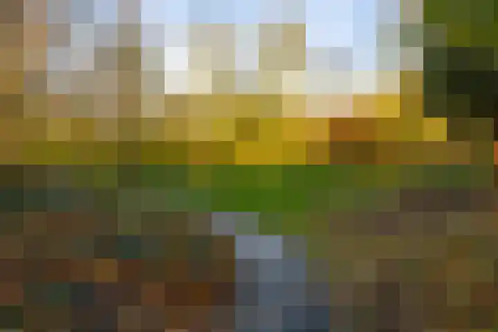 De Fok 18 Groningen thumbnail 37