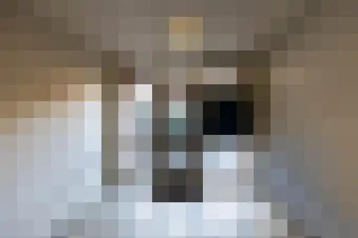De Fok 18 Groningen thumbnail 6