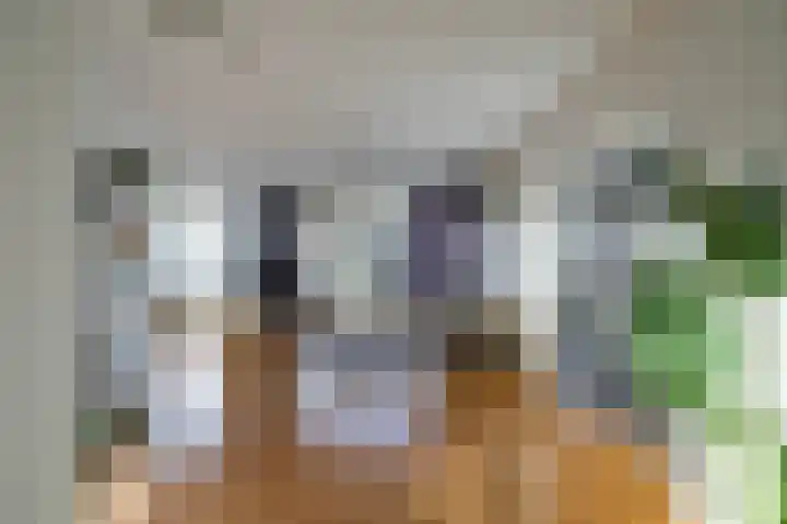 De Fok 18 Groningen thumbnail 8