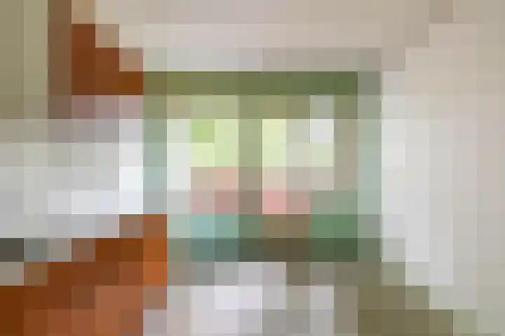 De Fok 5 Groningen thumbnail 13