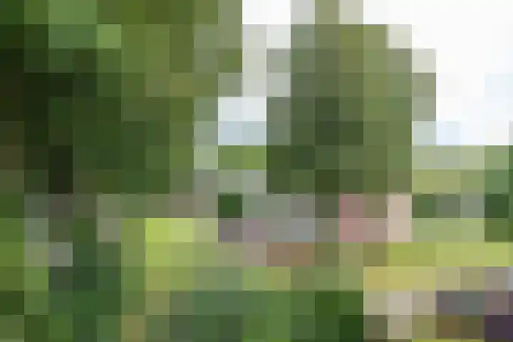 De Fok 5 Groningen thumbnail 16