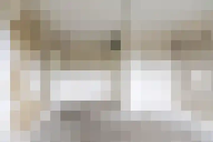 De Fok 5 Groningen thumbnail 23
