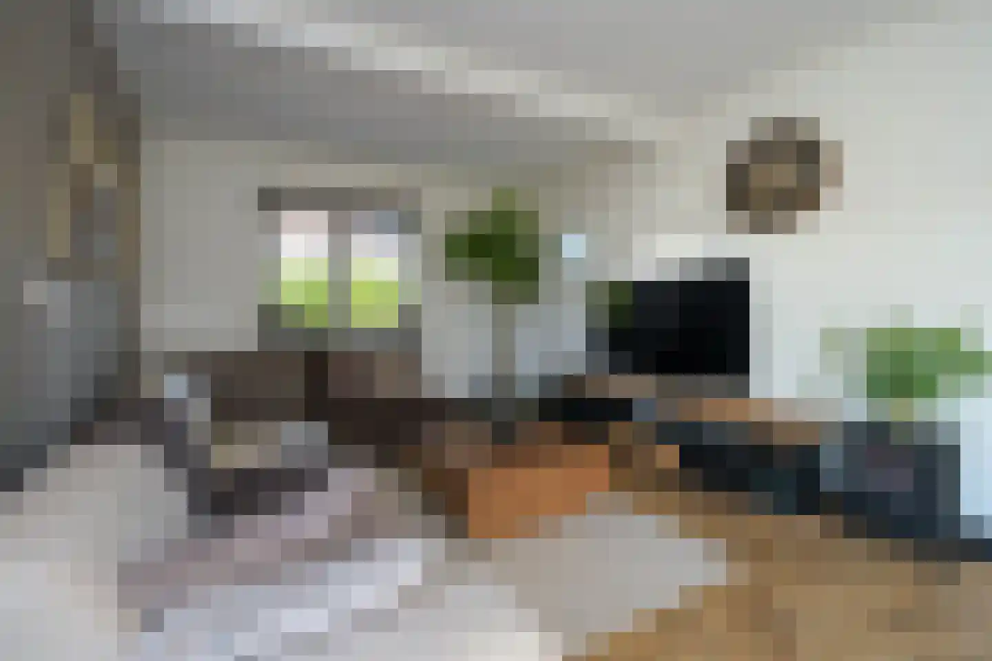 De Foreest 1 Drachten thumbnail 11