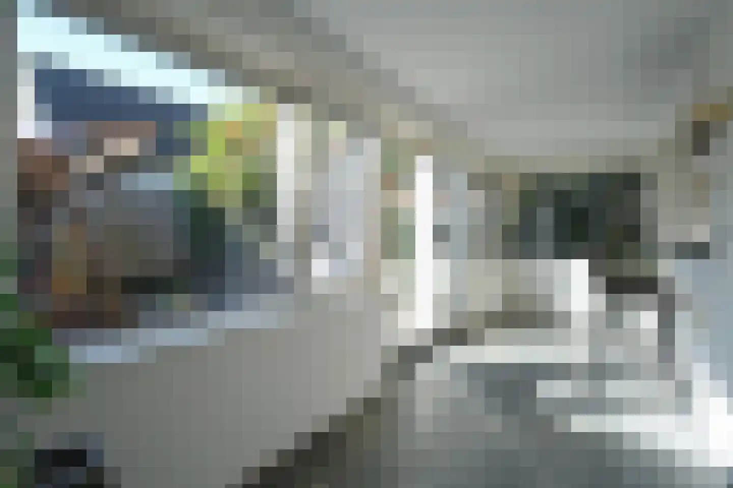 De Foreest 1 Drachten thumbnail 19