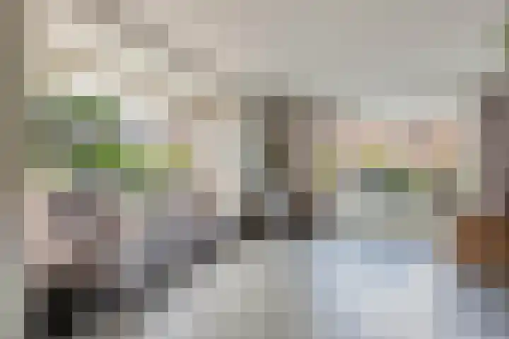 De Foreest 3 Drachten thumbnail 13