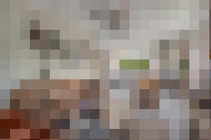 De Foreest 3 Drachten thumbnail 17